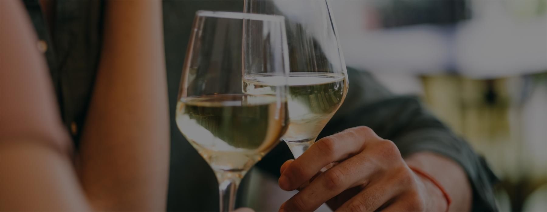 a person holding a glass of wine
