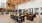 Luxurious open-concept lounge featuring modern chandeliers, elegant seating areas, and artistic wall designs with greenery accents in Sacramento's Natomas neighborhood