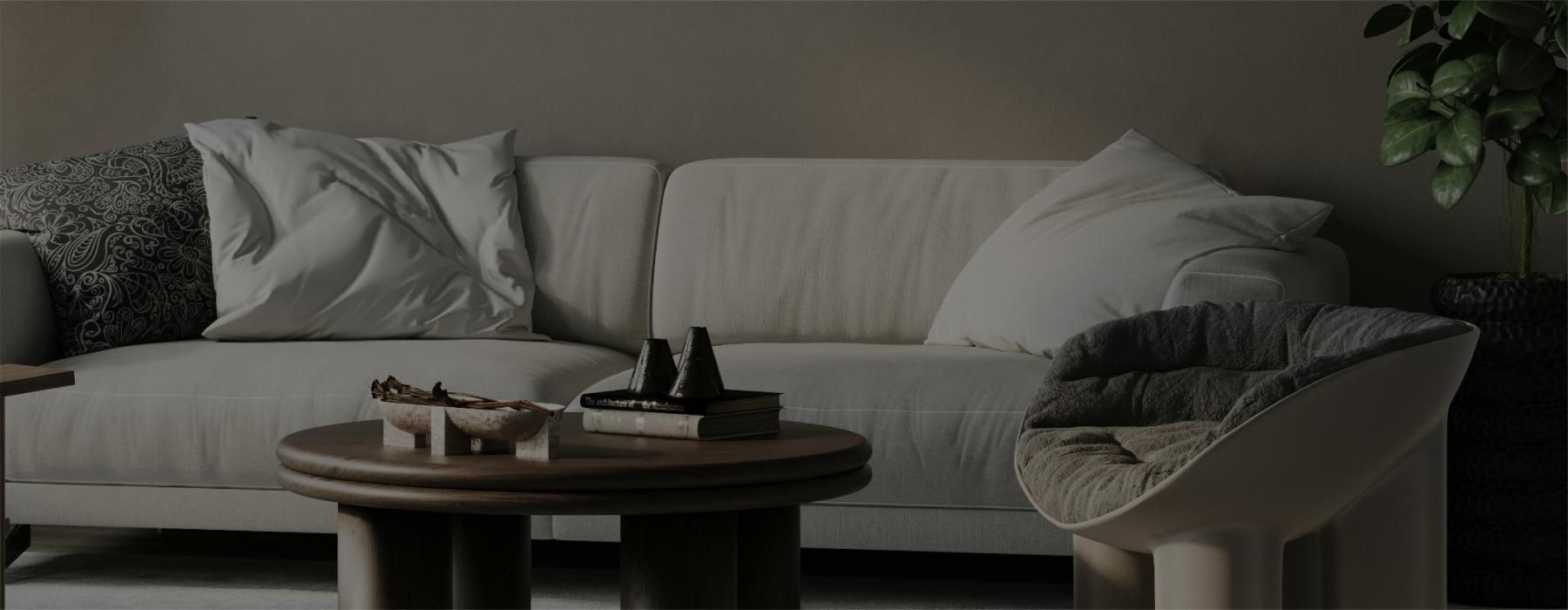 a couch and a coffee table