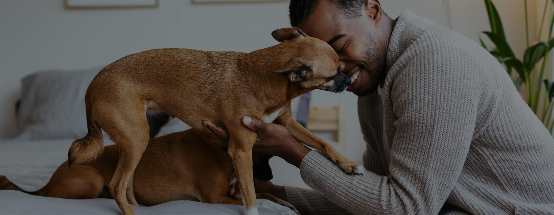 a man and a dog